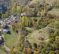 Bitlis'teki taş evlerde sonbahar güzelliği