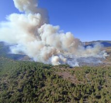 Bursa'da iki farklı noktada çıkan orman yangınına müdahale ediliyor