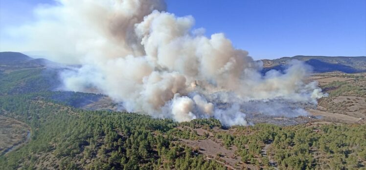 Bursa'da iki farklı noktada çıkan orman yangınına müdahale ediliyor