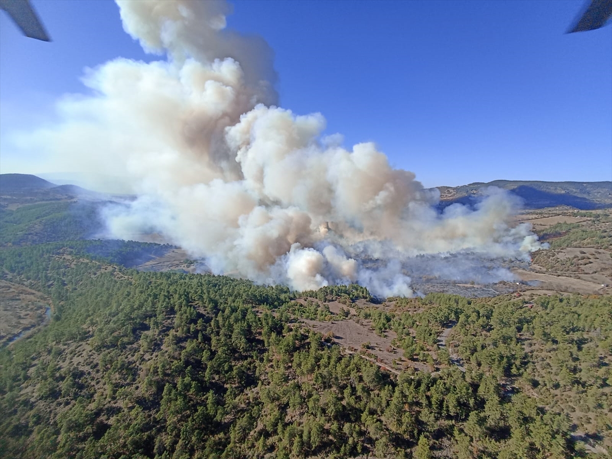 Bursa'da iki farklı noktada çıkan orman yangınına müdahale ediliyor