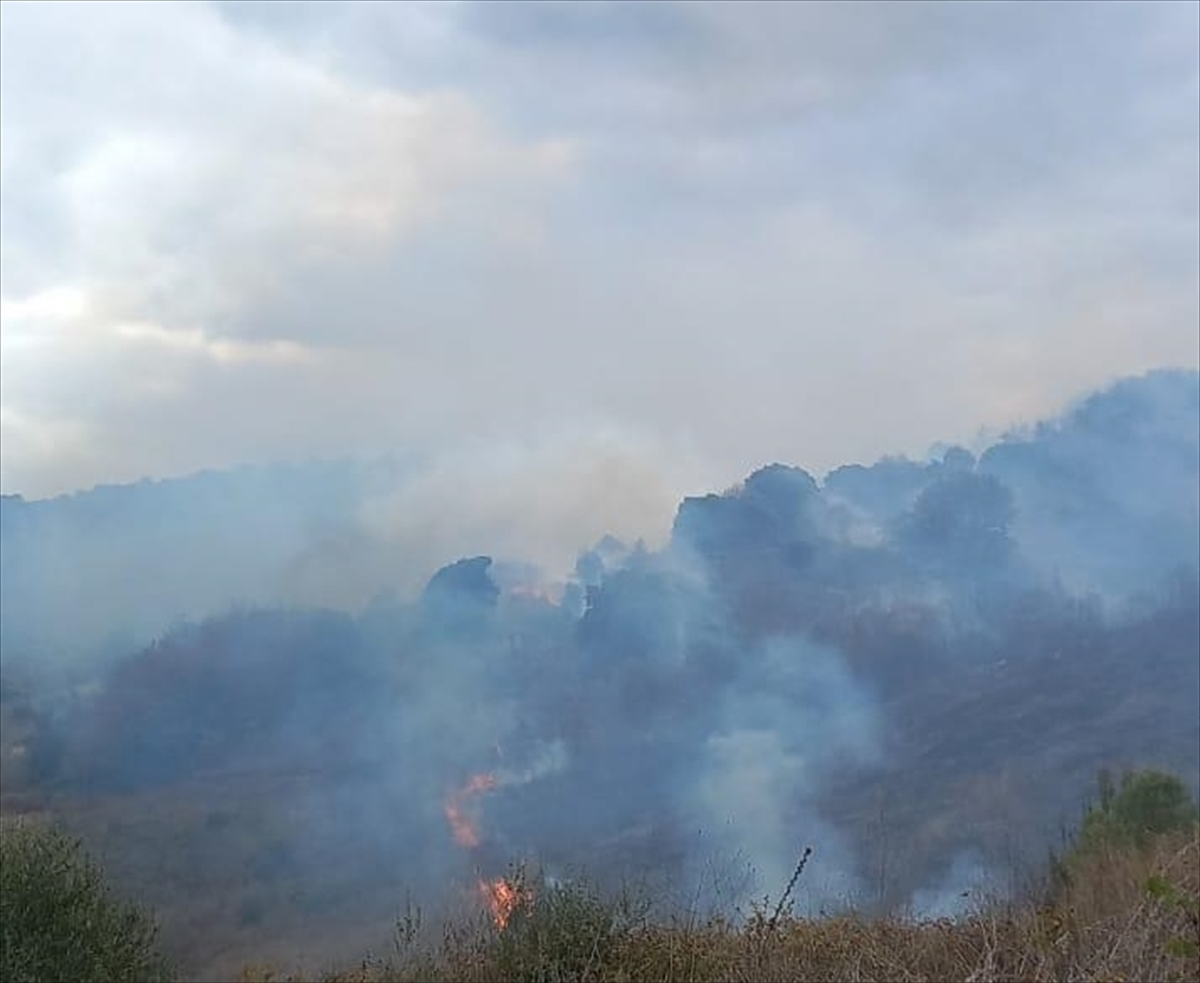 Çanakkale’de çıkan orman yangınına müdahale ediliyor