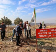 Diyarbakır'da, İsrail'in saldırılarında hayatını kaybeden Filistinliler anısına fidan dikildi