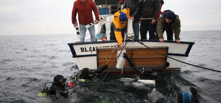 Gelibolu Sualtı Parkı’ndaki tarihi “HMS Majestic” batığına 400 ıstakoz bırakıldı