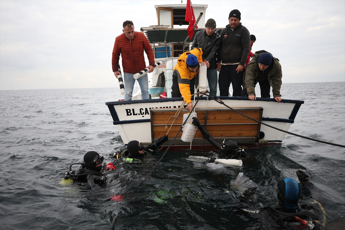 Gelibolu Sualtı Parkı’ndaki tarihi “HMS Majestic” batığına 400 ıstakoz bırakıldı