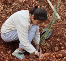 Adana, Mersin, Hatay ve Osmaniye'de fidanlar toprakla buluşturuldu