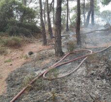 Heybeliada'da ormanlık alanda çıkan yangın kontrol altına alındı