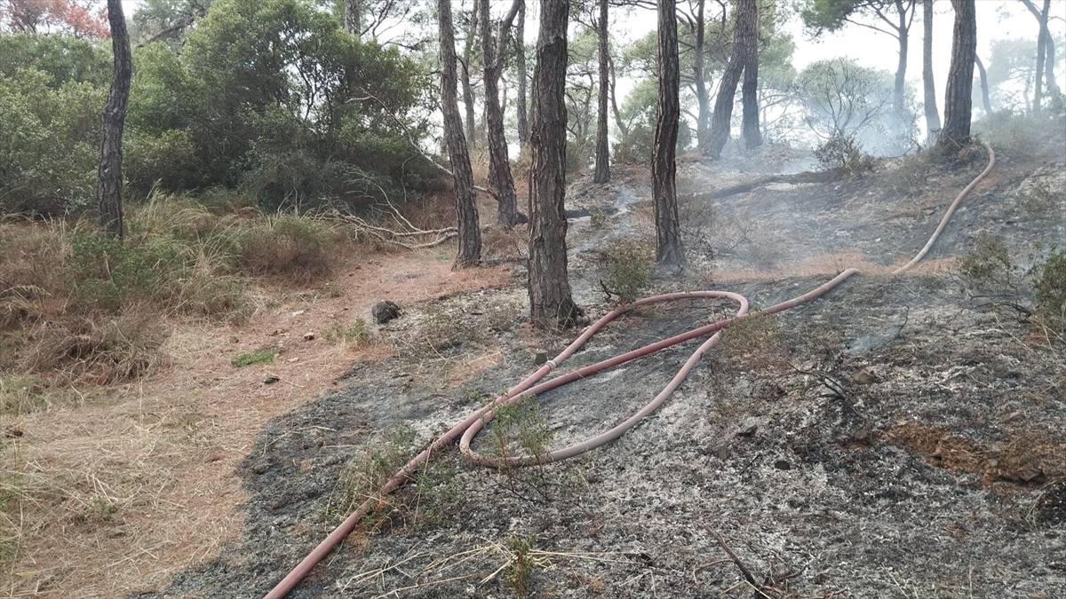 Heybeliada'da ormanlık alanda çıkan yangın kontrol altına alındı