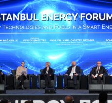 Bakan Bayraktar, İstanbul Energy Forum'da Gürcistan Birinci Başbakan Yardımcısı Davitashvili ile görüştü