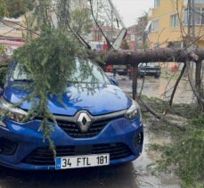 Kartal'da park halindeki otomobilin üzerine ağaç devrildi