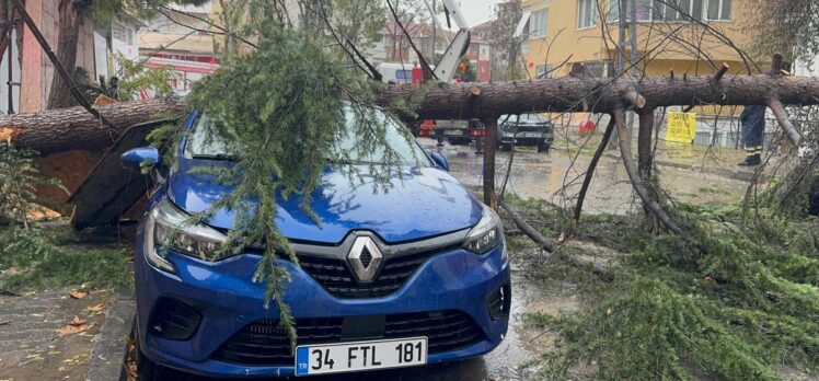 Kartal'da park halindeki otomobilin üzerine ağaç devrildi