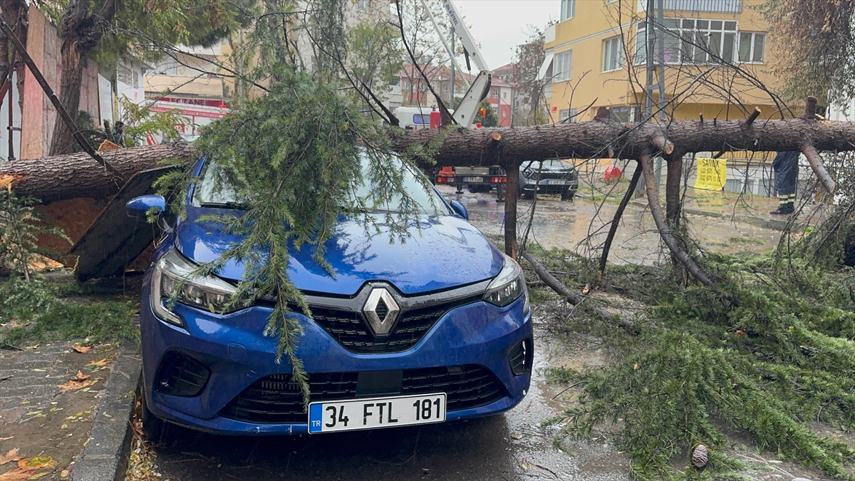 Kartal'da park halindeki otomobilin üzerine ağaç devrildi