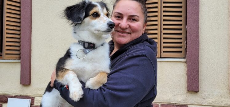 Köpeklere eğitimi yaşam alanlarında vererek daha başarılı sonuçlara ulaşıyor