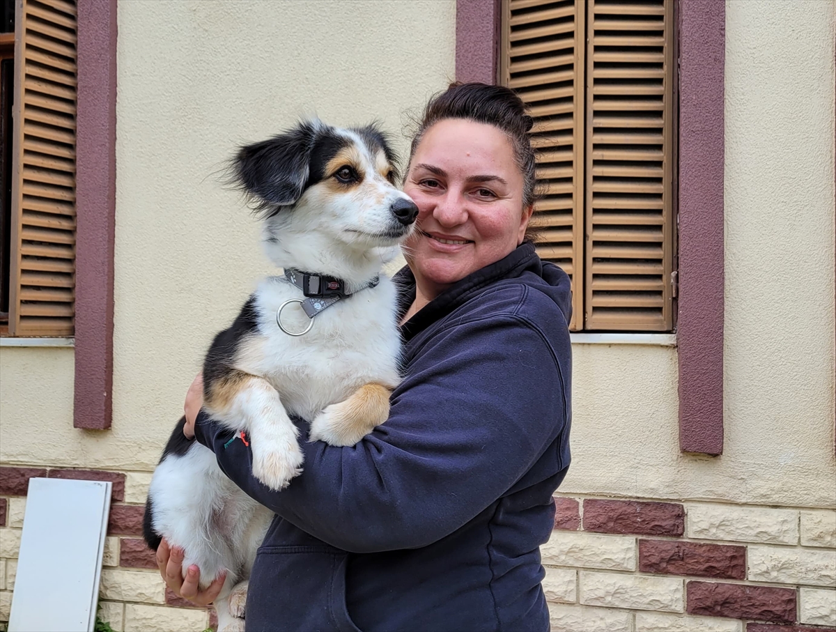 Köpeklere eğitimi yaşam alanlarında vererek daha başarılı sonuçlara ulaşıyor