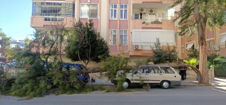 Mersin'de işçilerin kaldığı tesiste çatılar uçtu, 1 kişi öldü, 1 kişi yaralandı