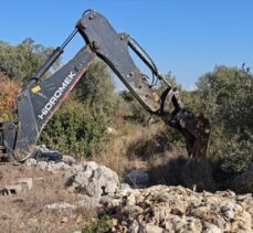 Mersin'de yem tedariki yapılmadığı ileri sürülen çiftlikteki tavuklar telef oldu