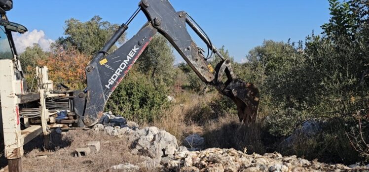 Mersin'de yem tedariki yapılmadığı ileri sürülen çiftlikteki tavuklar telef oldu