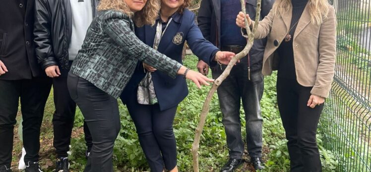 İstanbul Üniversitesi-Cerrahpaşa'nın 7 yerleşkesine 1071 fidan dikildi