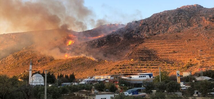 Muğla'da makilik alanda çıkan yangın kontrol altına alındı