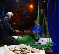 Sakarya'da balıkçılar limana bol miktarda tekirle döndü