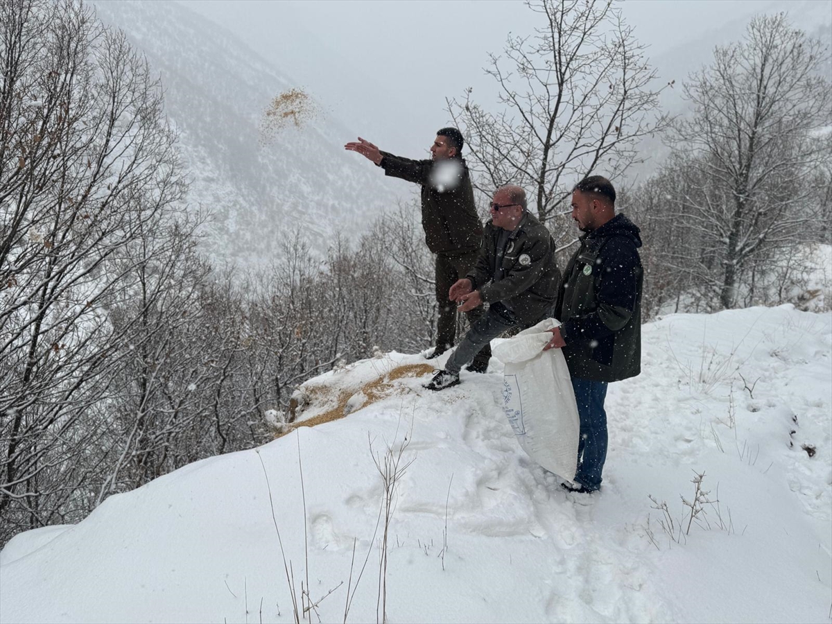 Siirt'te yaban hayvanları için doğaya yem bırakıldı