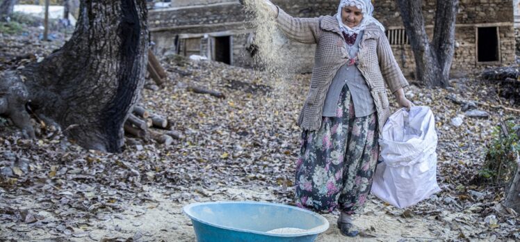 Sonbahar renklerine bürünen Bitlis'in köyleri fotoğrafçıları ağırladı