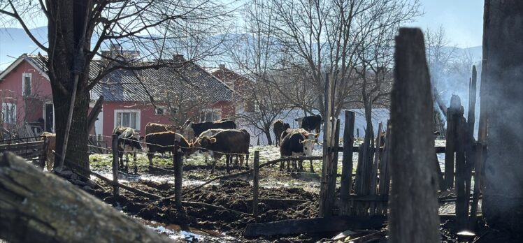 Bolu'da çıkan yangında ahır ve samanlık kullanılamaz hale geldi