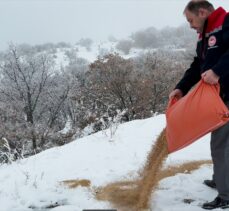 Erzincan'da yabani hayvanlar için karla kaplı arazilere yem bırakıldı