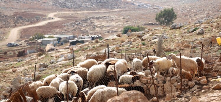 İsrail'in, işgal altındaki Batı Şeria'daki Tuveyyil köyündeki yıkımları yıllardır devam ediyor