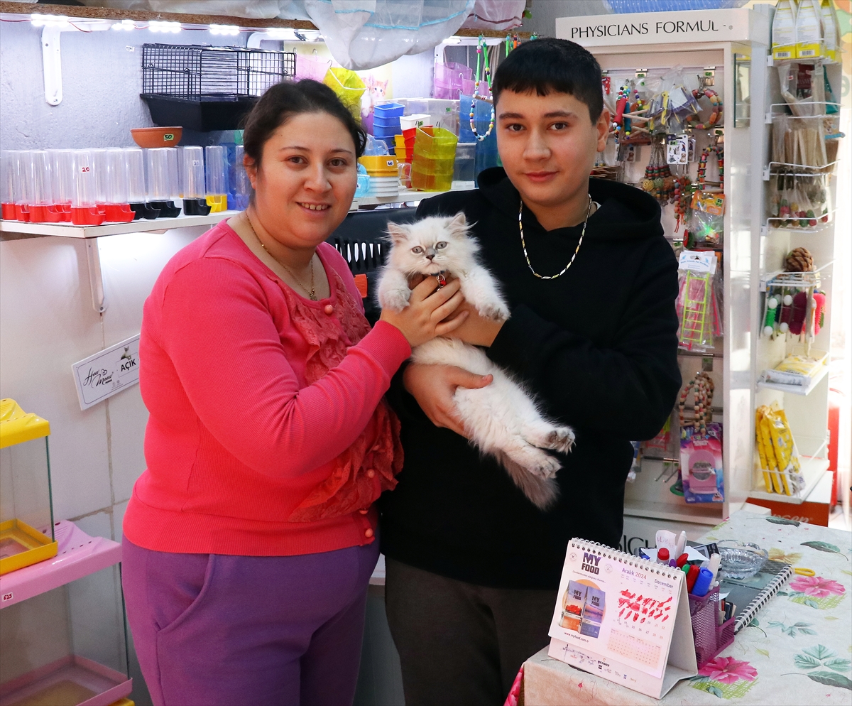 İzmir'de petshoptan çalınan kedi sosyal medya paylaşımları sonrası sahibine teslim edildi