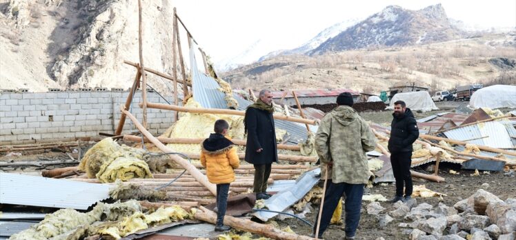 Van'da rüzgar nedeniyle duvarı yıkılan ahıra giren kurtlar, 11 koyunu telef etti